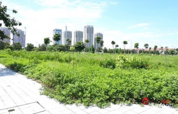 đầu tư đất